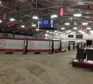 Follow the BWP Stallion Selection Show by live stream Follow the BWP Stallion Selection Show by live stream