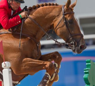 Vigo dArsouilles-dochter wint 1.45 Hickstead Vigo dArsouilles-dochter wint 1.45 Hickstead
